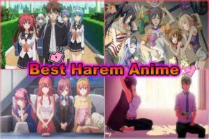 55+ Harem Anime Ranked (Personal Favorites) .
